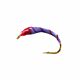 Violet red rib ninfa da coregone pesca lavarello